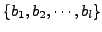 $\{b_1,b_2,\cdots,b_l\}$