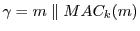 $\gamma = m \parallel
MAC_{k}(m)$
