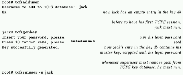 \begin{figure*}
\centerline {
\begin{tabular}{\vert lr\vert} \hline
{\tt root\ch...
...char93 {\bf tcfsrmuser -u jack}}
& \quad \\ \hline
\end{tabular}}\end{figure*}