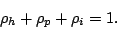 \begin{displaymath}
\rho_h+\rho_p+\rho_i=1.
\end{displaymath}