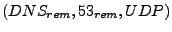 $ (DNS_{rem},53_{rem},UDP)$