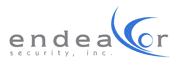 Endeavor Systems