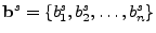 $\mathbf{b}^s = \{b_1^s, b_2^s,
\ldots, b_n^s \}$