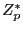 $ \boldmath {Z}_{p}^{*}$