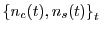 $ \left\{ n_{c}(t),n_{s}(t)\right\} _{t}$