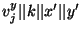 $v_j^y \vert\vert k \vert\vert x' \vert\vert y'$