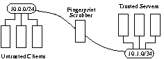 Experimental setup