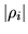 $ \vert\rho_i\vert$