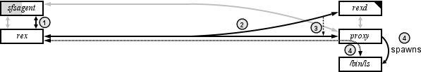 Setting up a REX session (Stage II)